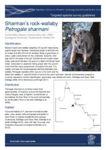 Microsoft Word - Petrogale sharmani_survey_guidelines_DRAFT_new_template