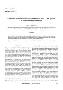 Suprachiasmatic nucleus / CLOCK / Steven M. Reppert / ARNTL / Circadian oscillator / PER2 / Period / Basic helix-loop-helix / Entrainment / Biology / Circadian rhythms / Transcription factors