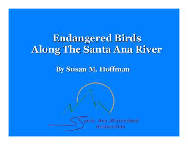Endangered Birds Along The Santa Ana River By Susan M. Hoffman The mid-section of the Santa Ana River in the City of Riverside