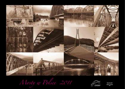 2011  Most na Wiśle Królewieckiej w Sztutowie, autor: Piotr Sosnowski III nagroda w Konkursie Fotograficznym Związku Mostowców RP  styczeń / january
