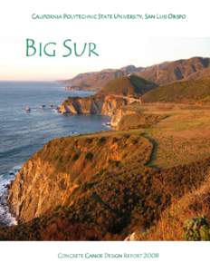 Microsoft Word - BigSur-Paper.doc