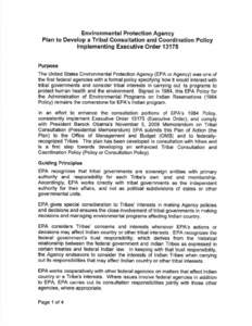 Plan to Develop a Tribal Consultation and Coordination Policy, Implementing Executive Order 13175