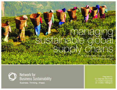 managing sustainable global supply chains A Systematic Review of the Body of Knowledge