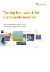 Testing framework for sustainable biomass Final report from the project group “Sustainable production of biomass” Chain Efficiency