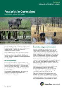 Fact sheet DECLARED CLASS 2 PEST ANIMAL Feral pigs in Queensland Distribution, ecology and impact