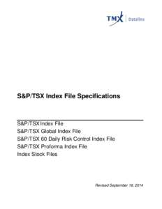 S&P/TSX Index File Specifications  S&P/TSX Index File S&P/TSX Global Index File S&P/TSX 60 Daily Risk Control Index File S&P/TSX Proforma Index File