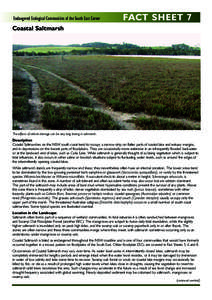 Endangered Ecological Communities of the South East Corner FACT SHEET 7