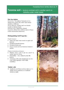 Tasmanian forest soil fact sheet no. 27  Taranna soil – texture-contrast soil in aeolian sand on dolerite under moist forest  Site description