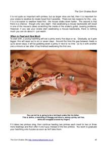 Swallowing / Zoology / Mouse / Snake / Corn snake