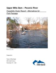 Upper Mills Dam – Peconic River Feasibility Study Report: Alternatives for Fish Passage February 28, 2011