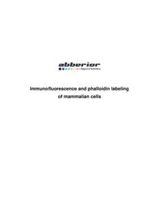 Immunofluorescence and phalloidin labeling of mammalian cells 2  Contents