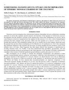 Schistosoma mansoni Adults: Uptake and Incorporation of Epimeric Monosaccharides by the Tegument