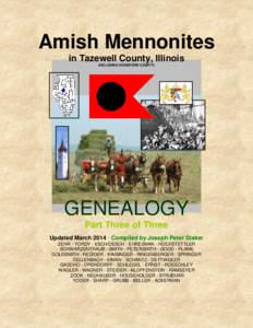 Amish Mennonites in Tazewell County, Illinois (INCLUDING WOODFORD COUNTY) GENEALOGY Part Three of Three