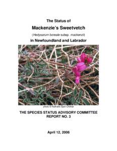 The Status of  Mackenzie’s Sweetvetch (Hedysarum boreale subsp. mackenzii)  in Newfoundland and Labrador