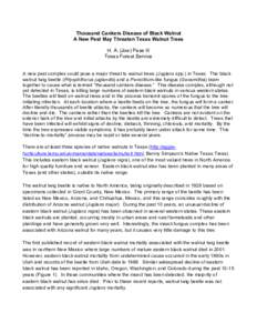 Thousand Cankers Disease of Black Walnut A New Pest May Threaten Texas Walnut Trees H. A. (Joe) Pase III Texas Forest Service A new pest complex could pose a major threat to walnut trees (Juglans spp.) in Texas. The blac