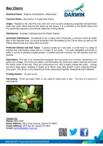 Bushfood / Eugenia reinwardtiana / Flora of Indonesia / Invasive plant species / Ziziphus mauritiana / Fruit / Cherry / Myrtus / Botany / Flora / Biology