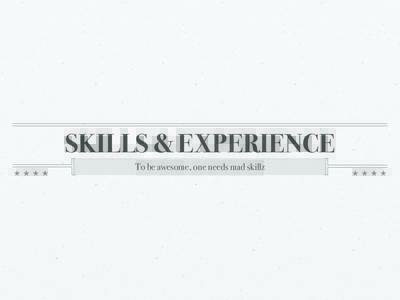 SKILLS & EXPERIENCE To be awesome, one needs mad skillz Skills  What? - what kind of skills