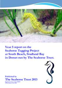 Year 5 report on the Seahorse Tagging Project at South Beach, Studland Bay in Dorset run by The Seahorse Trust.  Published by