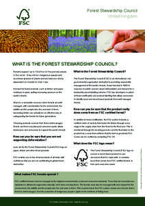 What is the Forest Stewardship Council option1 (Feb 12th[removed]indd