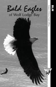 Nationality / Bald and Golden Eagle Protection Act / Bird of prey / Political geography / Karl E. Mundt National Wildlife Refuge / White-tailed Eagle / Eagles / Ornithology / Bald Eagle