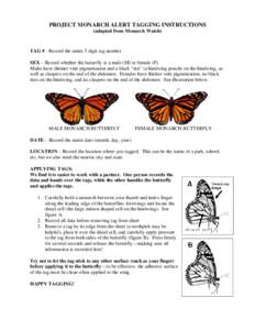 PROJECT MONARCH ALERT TAGGING INSTRUCTIONS (adapted from Monarch Watch) TAG # - Record the entire 5 digit tag number SEX – Record whether the butterfly is a male (M) or female (F). Males have thinner vein pigmentation 