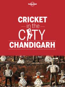CRICKET in the C TY  CHANDIGARH