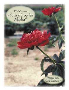 Peony— a future crop for Alaska? Agriculture & Forestry Experiment Station