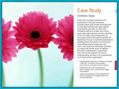 Case Study Smithers-Oasis Faced with increased questions and expectations from key customers, Smithers-Oasis (SO) turned to BrownFlynn to help them identify near-term, global