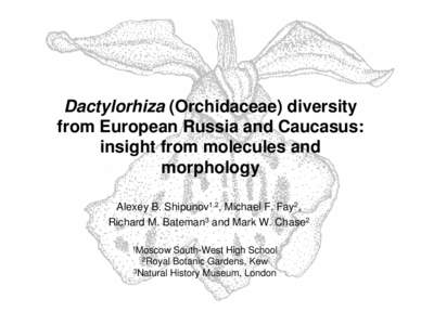 Dactylorhiza (Orchidaceae) diversity from European Russia and Caucasus: insight from molecules and morphology Alexey B. Shipunov1,2, Michael F. Fay2, Richard M. Bateman3 and Mark W. Chase2