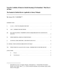 Court systems / Patently unreasonable / Court system of Canada / Supreme court / Privative clause / Appeal / Standard of review / Tribunal / CUPE v. New Brunswick Liquor Corp. / Law / Canadian law / Administrative law