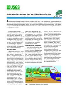 Global Warming, Sea-level Rise, and Coastal Marsh Survival  Coastal wetlands are among the most productive ecosystems in the world. These wetlands at the land-ocean margin pro- vide many direct benefits to humans, includ