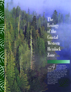 The Ecology of the Coastal Western Hemlock