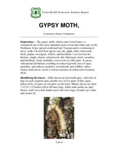 Phyla / Protostome / Moth / Lymantria / Pest control / Gypsy moths in the United States / Lymantriidae / Agricultural pest insects / Gypsy moth