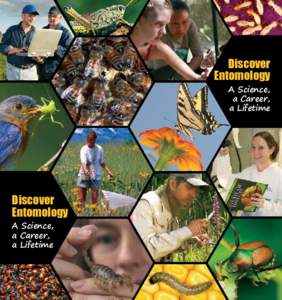 Discover Entomology A Science, a Career, a Lifetime