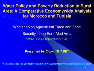 Water Policy and Poverty Reduction in Rural Area: A Comparative Economywide Analysis for Morocco and Tunisia Workshop on Agricultural Trade and Food Security in the Euro-Med Area Antalya, Turkey, September 25th-26th