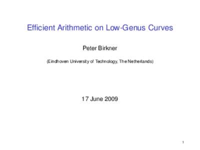 Efficient Arithmetic on Low-Genus Curves Peter Birkner (Eindhoven University of Technology, The Netherlands) 17 June 2009