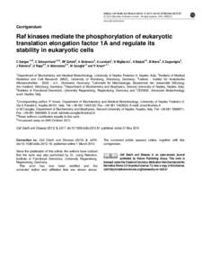 Raf kinases mediate the phosphorylation of eukaryotic translation elongation factor 1A and regulate its stability in eukaryotic cells