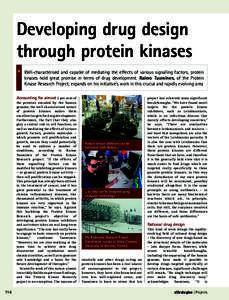 Developing drug design through protein kinases Well-characterised and capable of mediating the effects of various signalling factors, protein kinases hold great promise in terms of drug development. Raimo Tuominen, of th