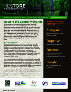 Louisiana / Aquatic ecology / Wetland / Mississippi River – Gulf Outlet Canal / Coypu / Coalition to Restore Coastal Louisiana / Swamp / Lake Borgne / Wetlands of Louisiana / Fauna of South America / Water / Intracoastal Waterway