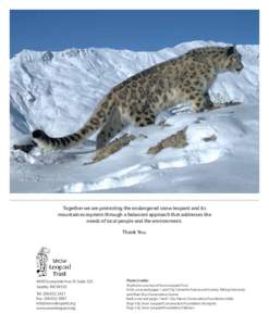 Together we are protecting the endangered snow leopard and its mountain ecosystem through a balanced approach that addresses the needs of local people and the environment. Thank YouSunnyside Ave. N. Suite 325