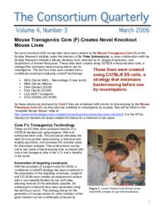 Mouse Transgenics Core (F) Creates Novel Knockout Mouse Lines Six novel knockout (KO) mouse lines have been created by the Mouse Transgenics Core (F) at the Scripps Research Institute under the direction of Dr. Peter Sob