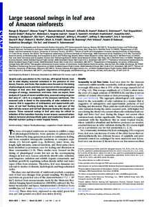 Large seasonal swings in leaf area of Amazon rainforests Ranga B. Mynenia, Wenze Yanga,b, Ramakrishna R. Nemanic, Alfredo R. Hueted, Robert E. Dickinsone,f, Yuri Knyazikhina, Kamel Didand, Rong Fue, Robinson I. Negro´n 