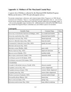 Appendix A: Molluscs of The Maryland Coastal Bays A species list of Molluscs collected by the Maryland DNR Shellfish Program Molluscan Inventory[removed]and subsequent surveys Taxonomic nomenclature, references, and co