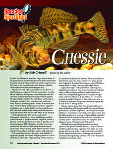 by Rob Criswell  photos by the author In 1842, S. S. Haldeman described a tiger-striped darter of the genus Percina from the Susquehanna River at Columbia,