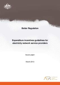 Better Regulation  Expenditure incentives guidelines for electricity network service providers  Issues paper