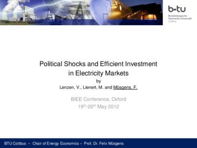 Political Shocks and Efficient Investment in Electricity Markets by Lenzen, V., Lienert, M. and Müsgens, F.  BIEE Conference, Oxford