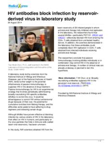 HIV antibodies block infection by reservoir-derived virus in laboratory study