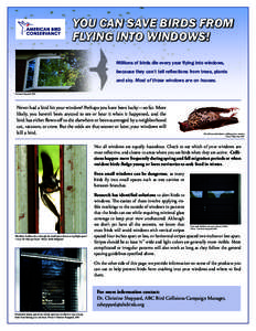 YOU CAN SAVE BIRDS FROM FLYING INTO WINDOWS! Millions of birds die every year flying into windows, because they can’t tell reflections from trees, plants and sky. Most of those windows are on houses. Christine Sheppard