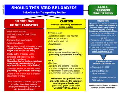 Updated[removed]SHOULD THIS BIRD BE LOADED? LOAD & TRANSPORT