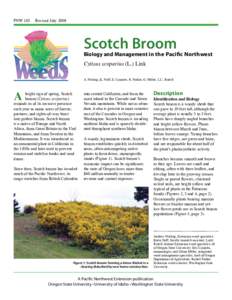 Scotch Broom: Biology and Management in the Pacific Northwest